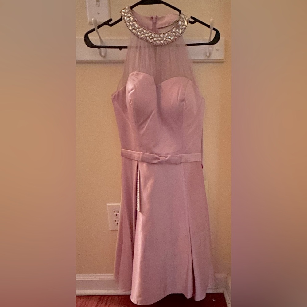 May Queen Pink Satin and Mesh Dress